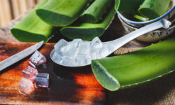 Como extraer el gel del Aloe vera o Sábila