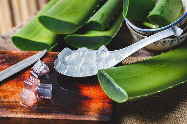 Cómo extraer el gel de Aloe vera Como extraer el gel del Aloe vera o Sábila