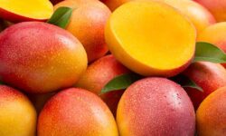 Beneficios del mango para la salud