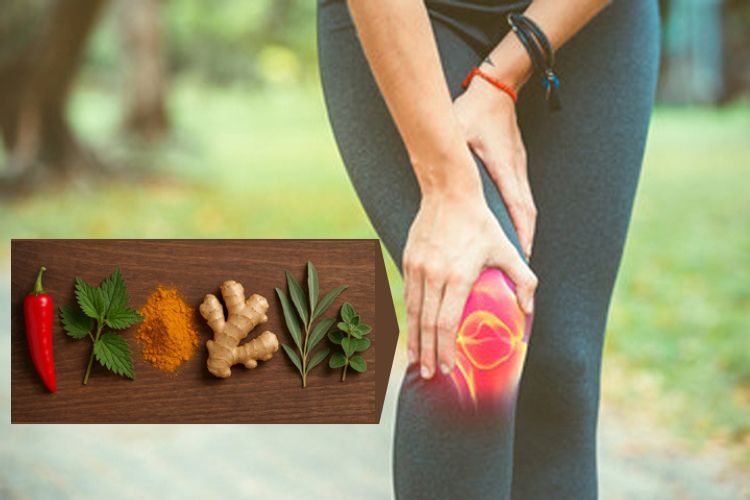 Aliviar el dolor de la artritis con especias y hierbas Aliviar el dolor de la artritis con especias y hierbas medicinales