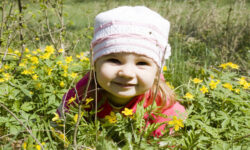 ¿Las hierbas son seguras para los niños?