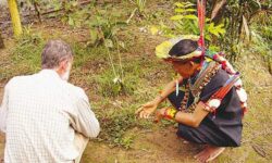 Medicina herbaria nativa y el poder de curarse a sí mismo