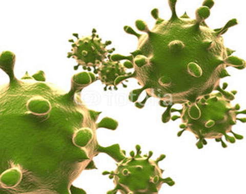 formas alternativas para proteger el sistema inmunológico de manera natural