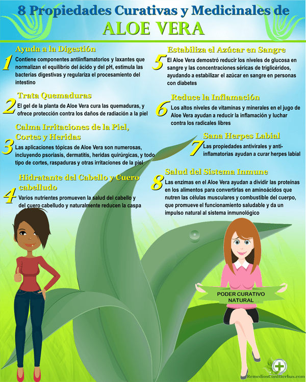 8 Propiedades curativas y medicinales del Aloe Vera