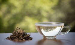 5 Beneficios del Té blanco puro
