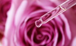 Aceite esencial de Rosa: Propiedades y usos