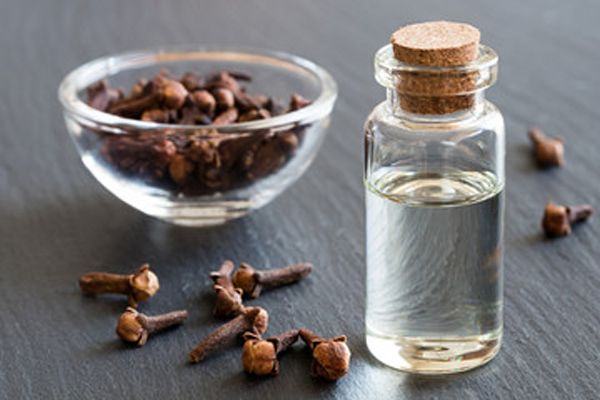 Aceite esencial de clavo: 5 Propiedades medicinales Aceite esencial de clavo: 5 Propiedades medicinales