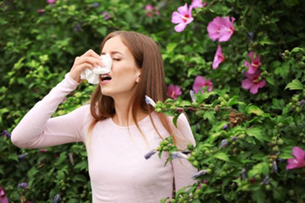 Aceites esenciales para la salud de los senos nasales
