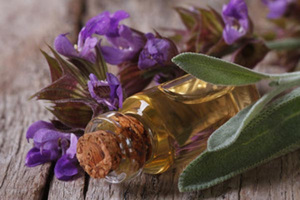 Aceite esencial de Salvia Sclarea