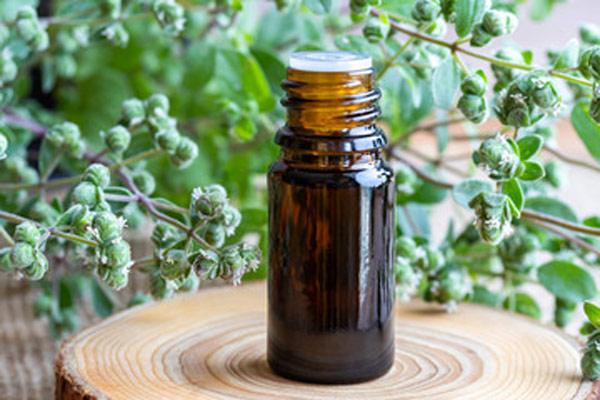 Aceite esencial de Mejorana: Propiedades y usos Aceite esencial de Mejorana: Propiedades y usos