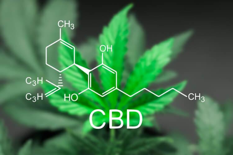 ¿Es efectivo el CBD para reducir el dolor crónico? CBD para reducir el dolor crónico