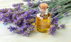 Aceite esencial de lavanda: Un aroma único y múltiples beneficios