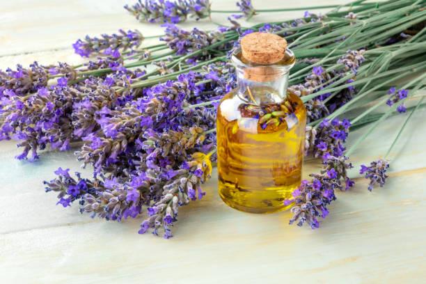 Aceite esencial de lavanda: Un aroma único y múltiples beneficios