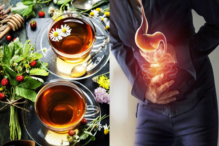 Infusiones que favorecen la microbiota 