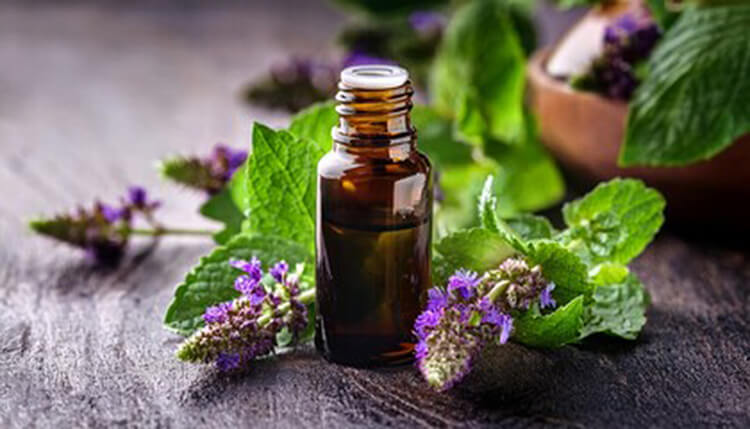 Propiedades del Aceite Esencial de Patchouli Beneficios y Propiedades del Aceite Esencial de Patchouli: Poder Aromático y Terapéutico