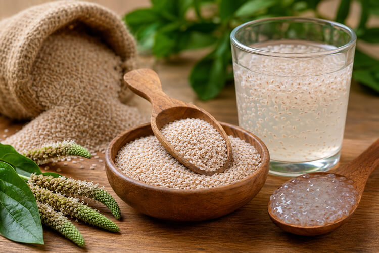 Beneficios de las semillas de Zaragatona Beneficios de las semillas de Zaragatona: Un aliado que tu salud intestinal necesita