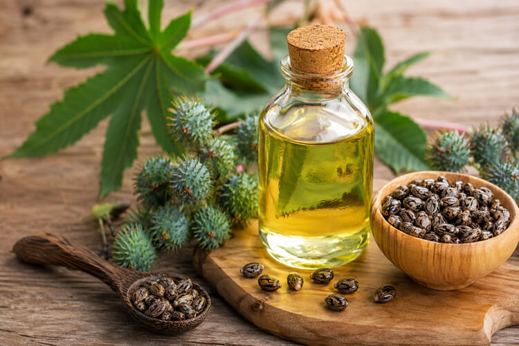 Beneficios del aceite de ricino: Propiedades, usos y cómo aplicarlo correctamente Beneficios del aceite de ricino: Aplicación y precaución en su uso interno y tópico